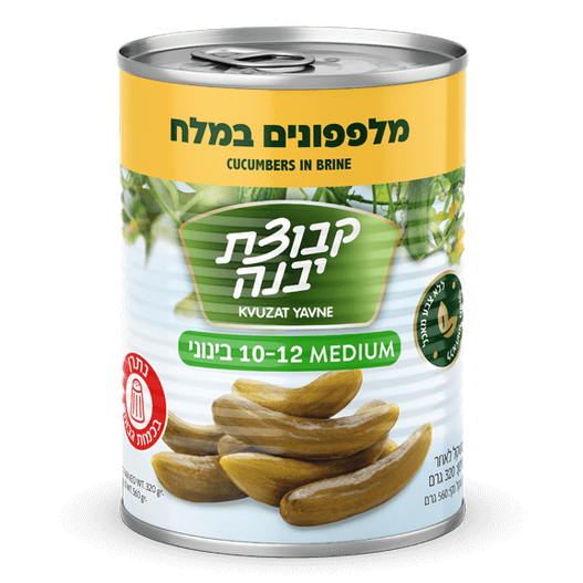 Kvuzat Yavne - Pickled Cucumbers in Brine M (10-12) 12-Pk - 12-Pack (560 gr)