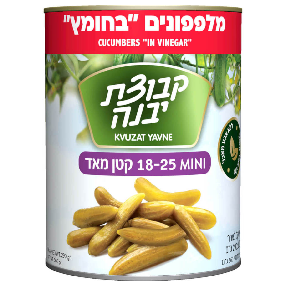 Kvuzat Yavne - Cucumber in Vinegar Mini (18-25) - 12-Pack (19 oz)