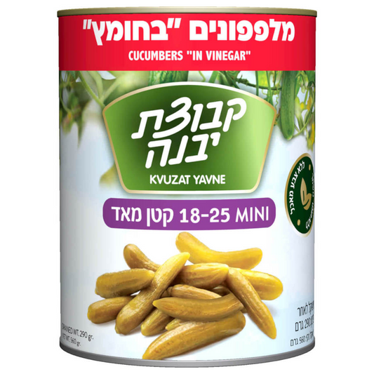 Kvuzat Yavne - Cucumber in Vinegar Mini (18-25) - 12-Pack (19 oz)