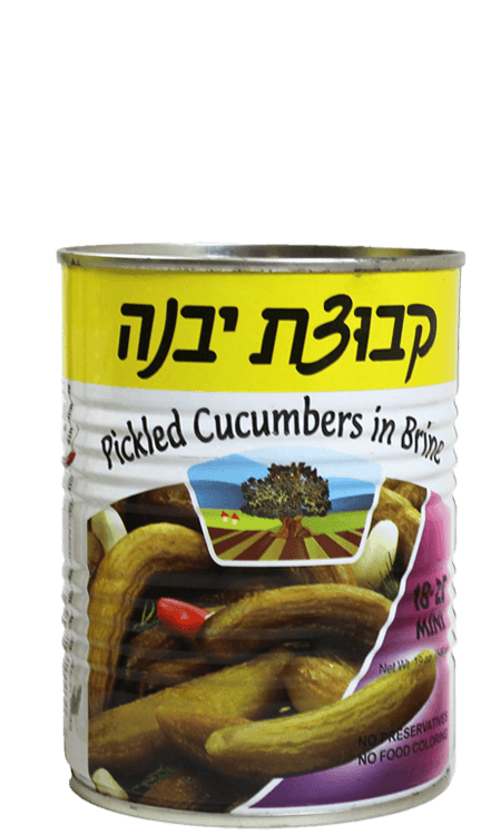 Kvuzat Yavne - Cucumber In Brine (18-25)12-Pk