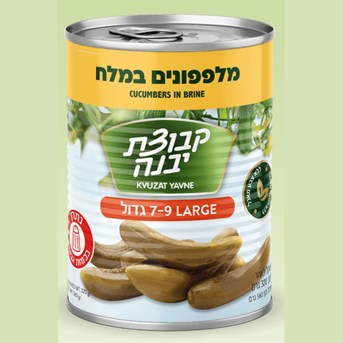 Cucumber In Brine (7-9 Large) - 2-Pack (19 oz)